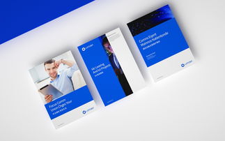 科技信息公司的VI與網頁設計 塑造數字化品牌形象的雙重引擎