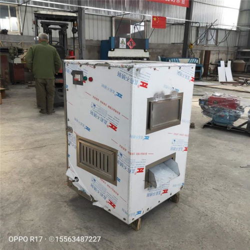 衡陽12 20型芝麻破碎機工廠直銷